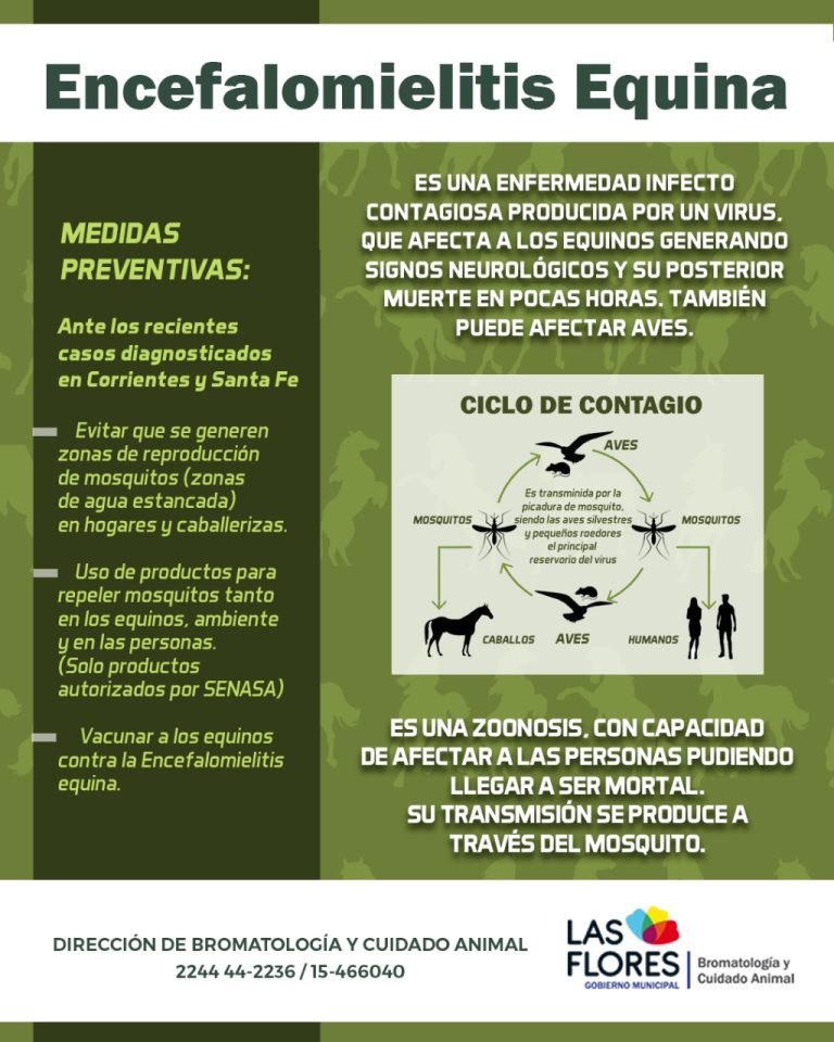 ENCEFALOMIELITIS EQUINA: MEDIDAS PREVENTIVAS