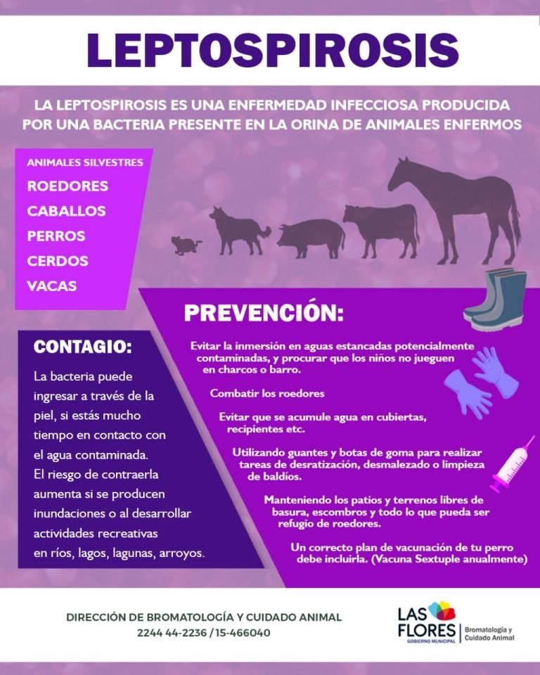LEPTOSPIROSIS: MEDIDAS DE PREVENCIÓN