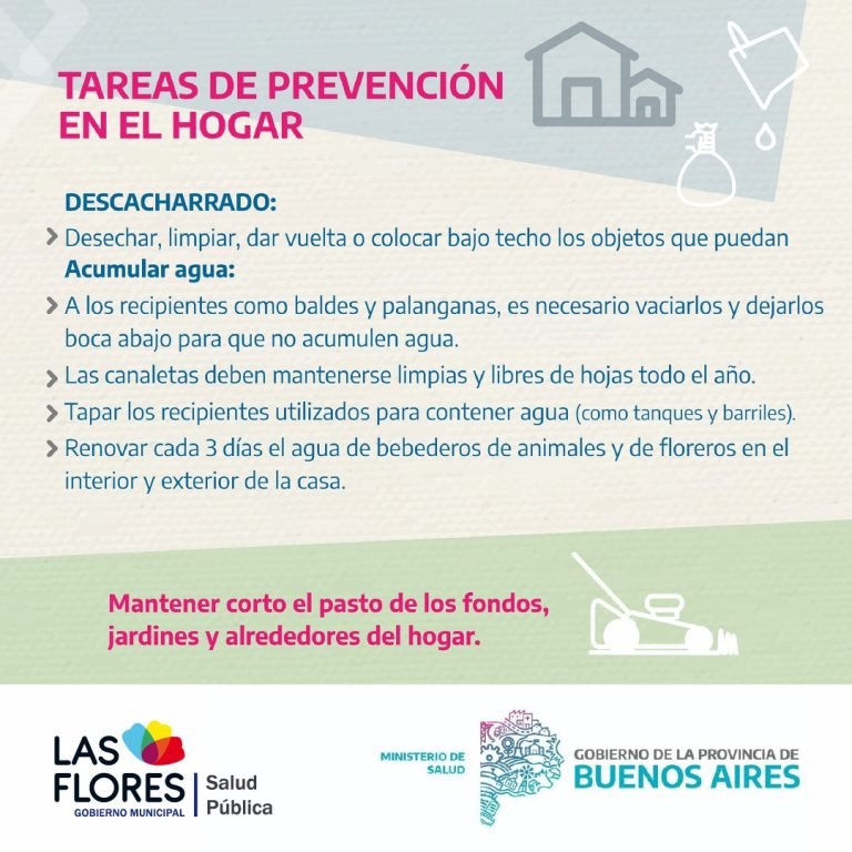 SIN MOSQUITO NO HAY DENGUE: ES CLAVE INTENSIFICAR EL DESCACHARRADO