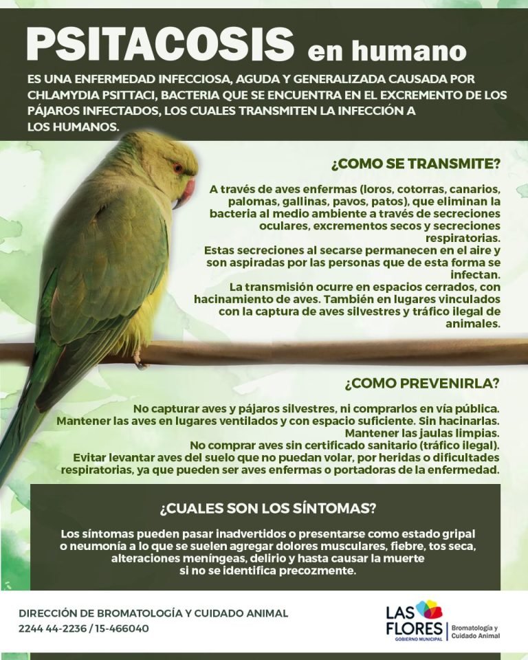 PSITACOSIS: MEDIDAS PARA PREVENIR LA ENFERMEDAD