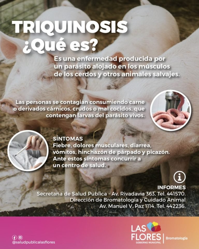 MEDIDAS DE PREVENCIÓN SOBRE TRIQUINOSIS
