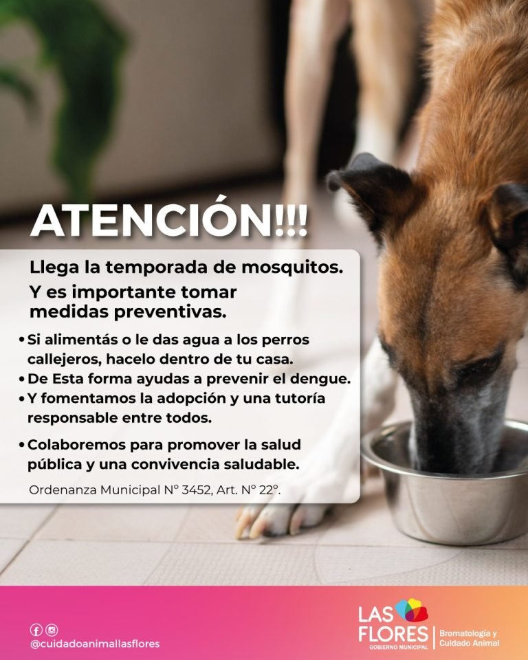 SUMANDO A LA PREVENCIÓN DEL DENGUE