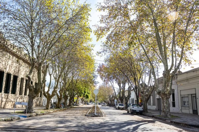SE ENCUENTRA HABILITADA LA DOBLE CIRCULACIÓN EN AV. CARMEN ENTRE RIVADAVIA Y 9 DE JULIO