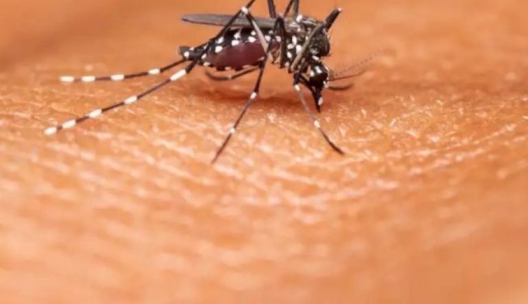 Este lunes inicia la campaña de vacunación contra el dengue en la PBA