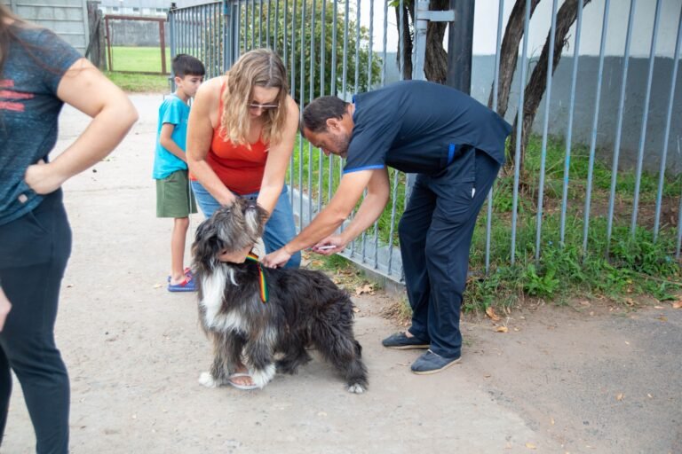 Noticias del boletín municipal