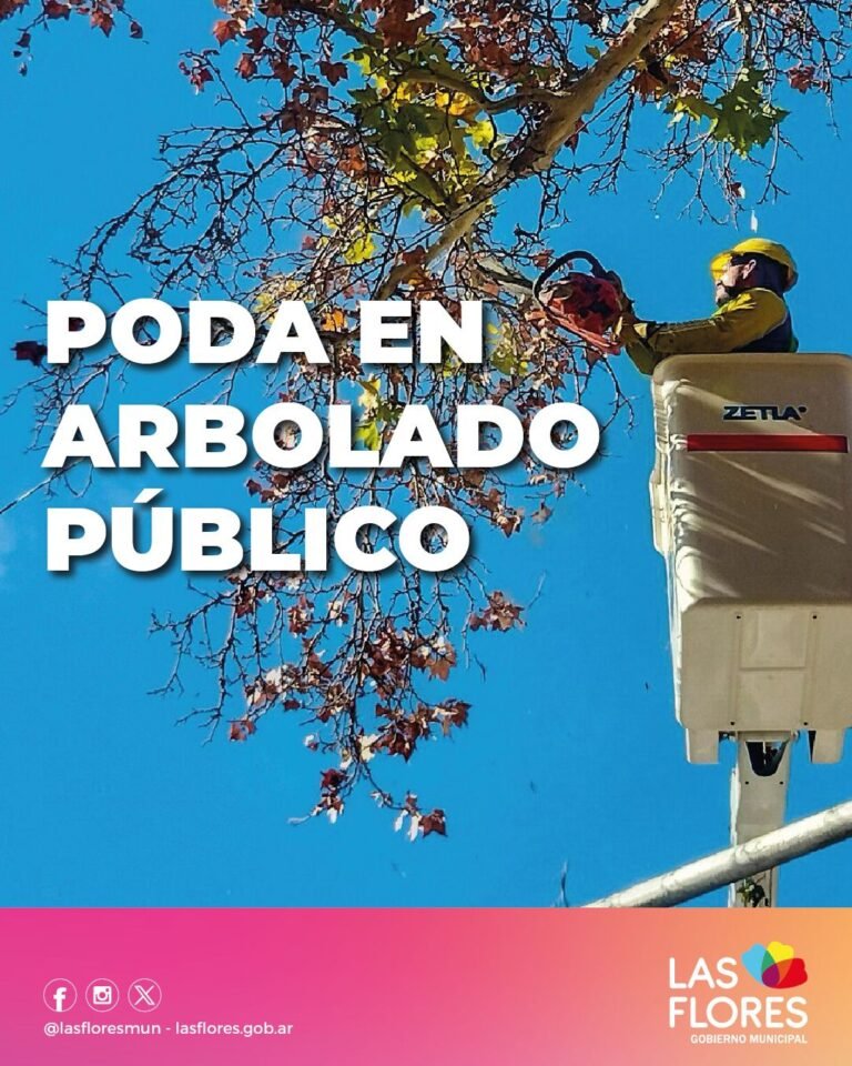 PODA EN ARBOLADO PÚBLICO: INFORMACIÓN IMPORTANTE