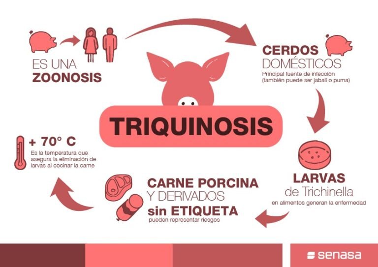 Refuerzo de las medidas de prevención ante el registro de casos de triquinosis