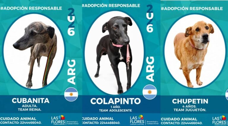 Cuidado Animal invita a la adopción responsable con una curiosa campaña