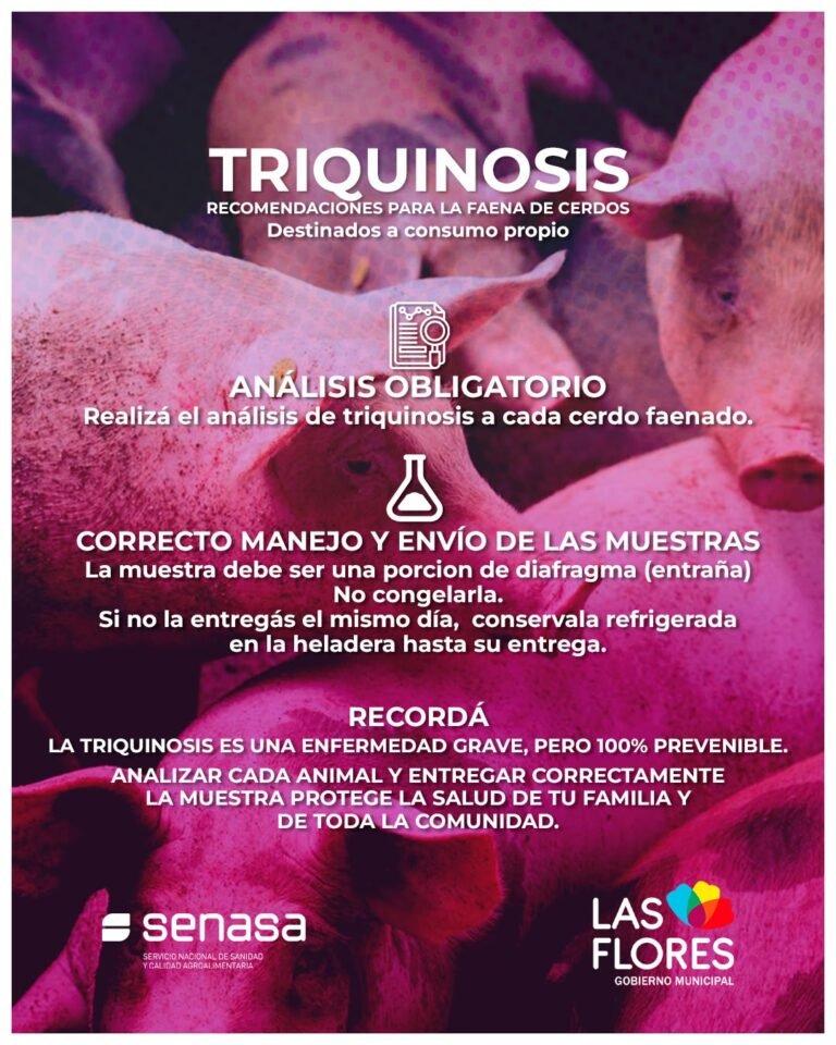 RECOMENDACIONES PARA LA FAENA DE CERDOS DESTINADOS A CONSUMO PROPIO