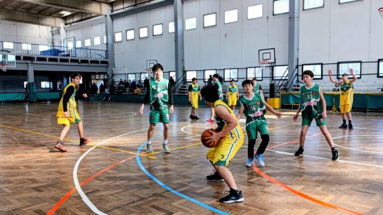 Básquet, ajedrez y trabajos de neurociencia aplicada al deporte