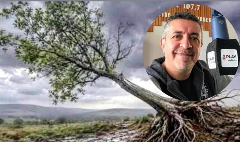 Editorial: «Sin raíces ningún armado aguanta el viento»