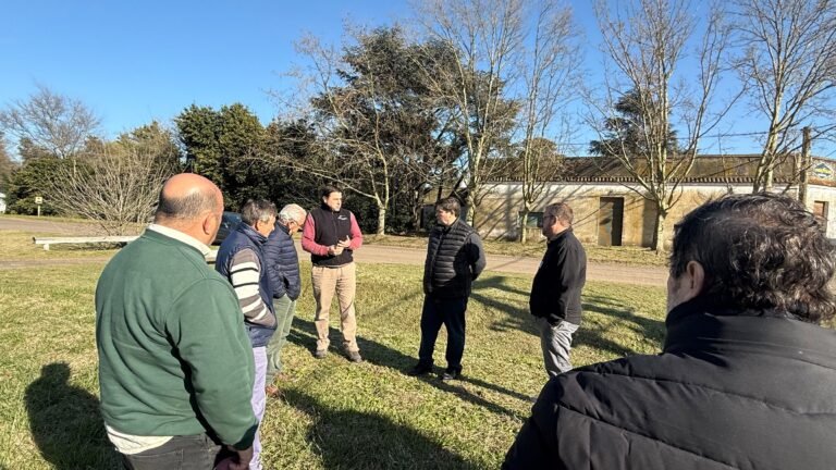 La Cooperativa Eléctrica y el Municipio avanzan en el proyecto de un nuevo parque solar en El Trigo