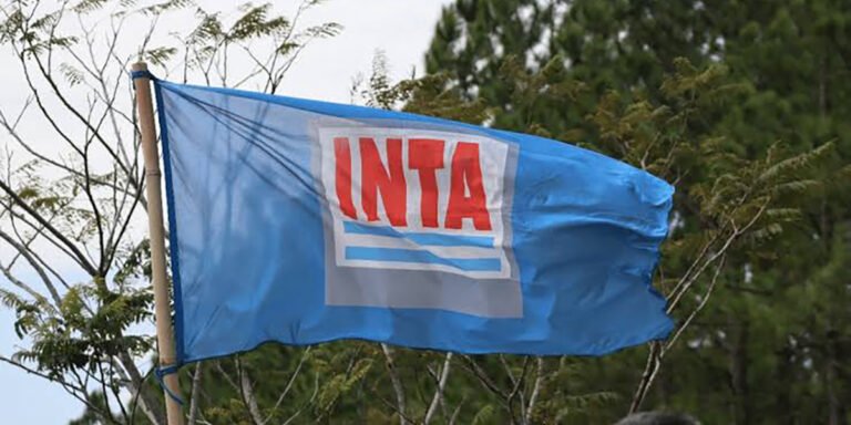 El desfinanciamiento del INTA: qué se pone en jaque y qué podría pasar